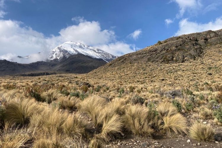 cima pico de orizaba