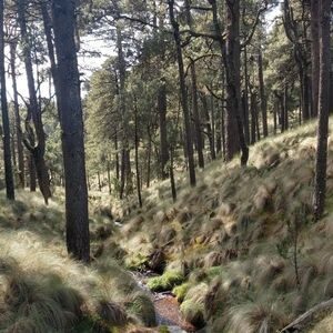 cascadas iztaccihuatl y manantiales tour