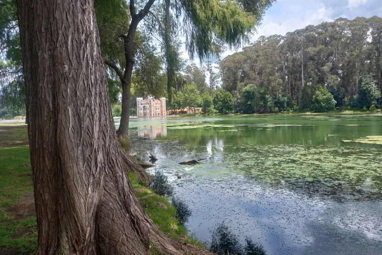 tour en puebla