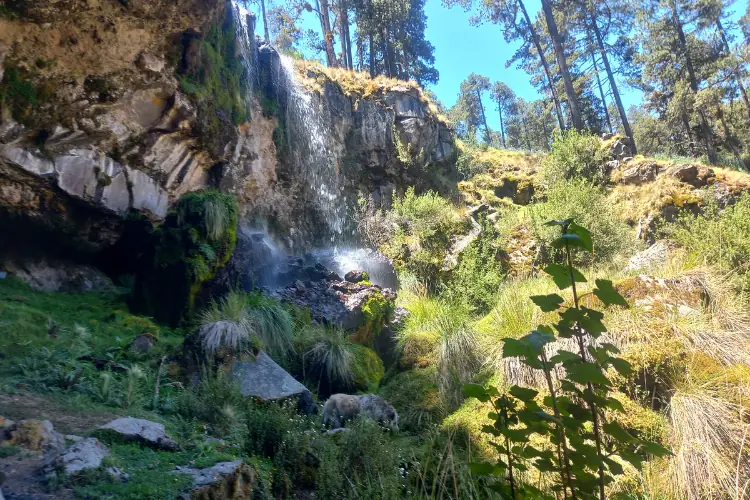 cascada con naturaleza en el pico de orizaba