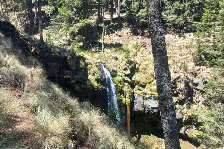 cascada del parque nacional pico