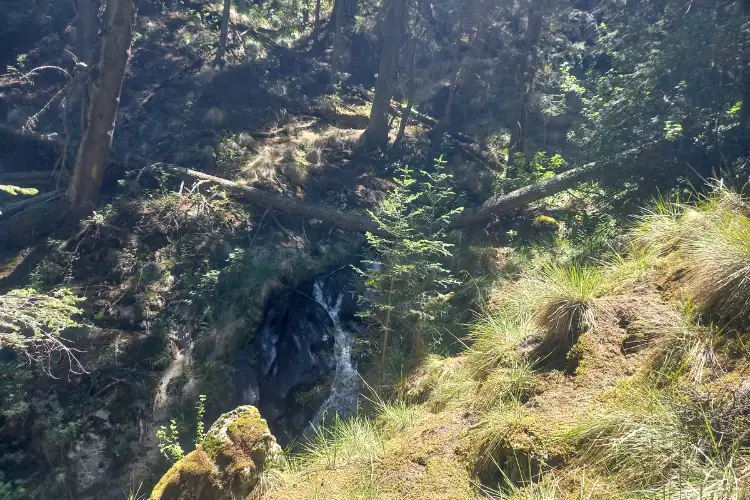 naturaleza y senderismo en pico de orizaba