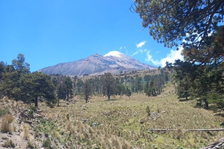 arenal pico de orizaba y techo del pico