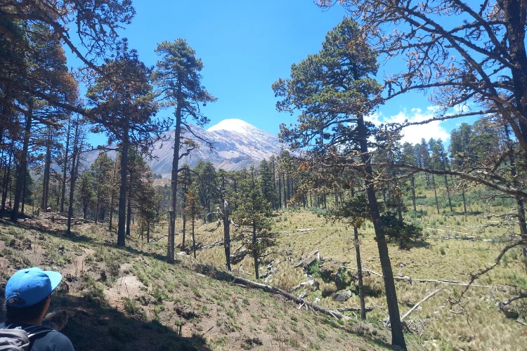 llegando a los arenales con vista de la cima del pico de orizaba