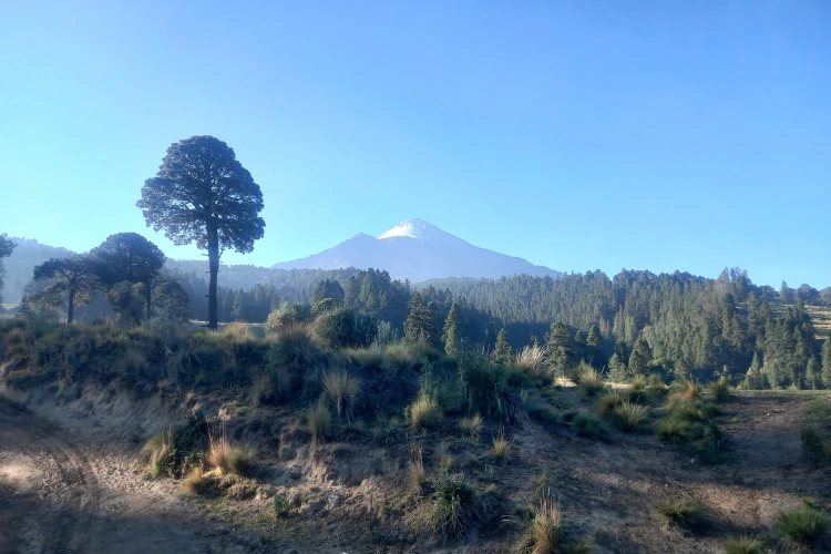 pico de orizaba nivel 3