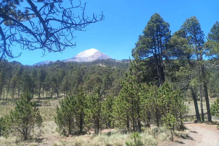 vista pico de orizaba o citlaltepetl