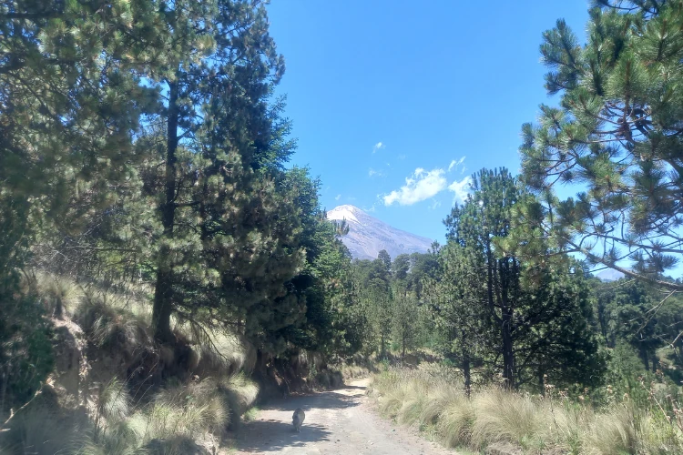 sendero en pico de orizaba tour