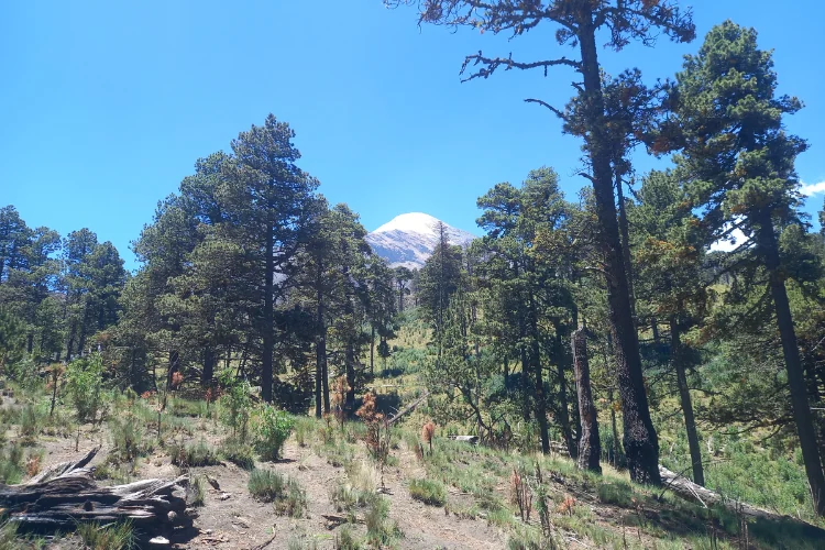 senderismo y vistas del volcan pico de orizaba en mexico