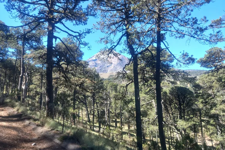 tour pico de orizaba desde puebla