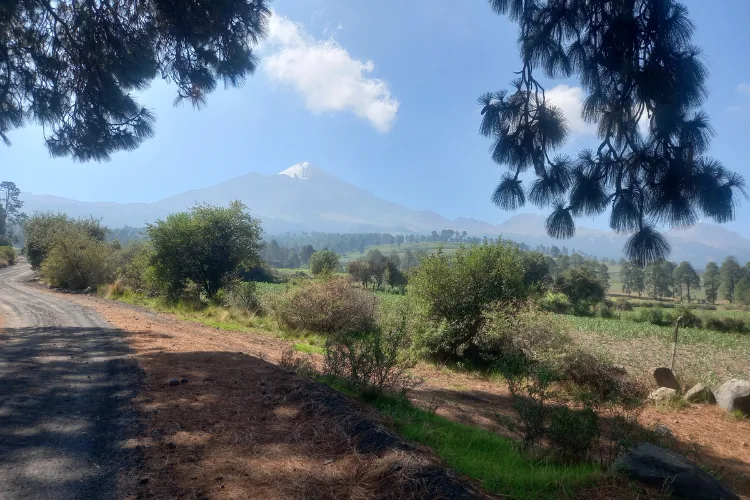 camino hacia el pico