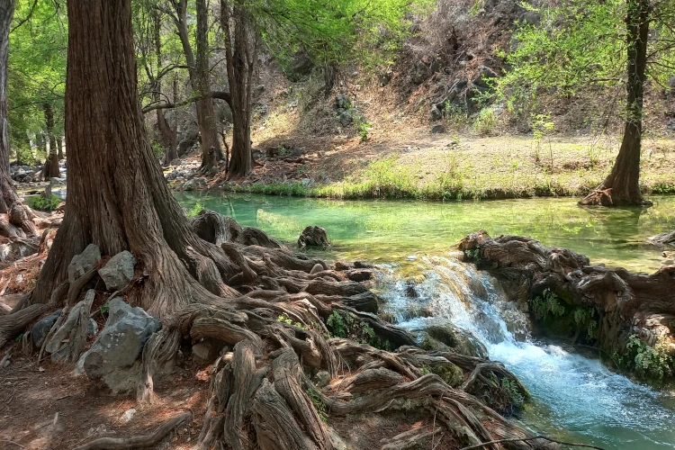 hiking tour in ahuehuetes puebla