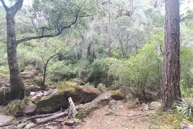 trails to hike oaxaca