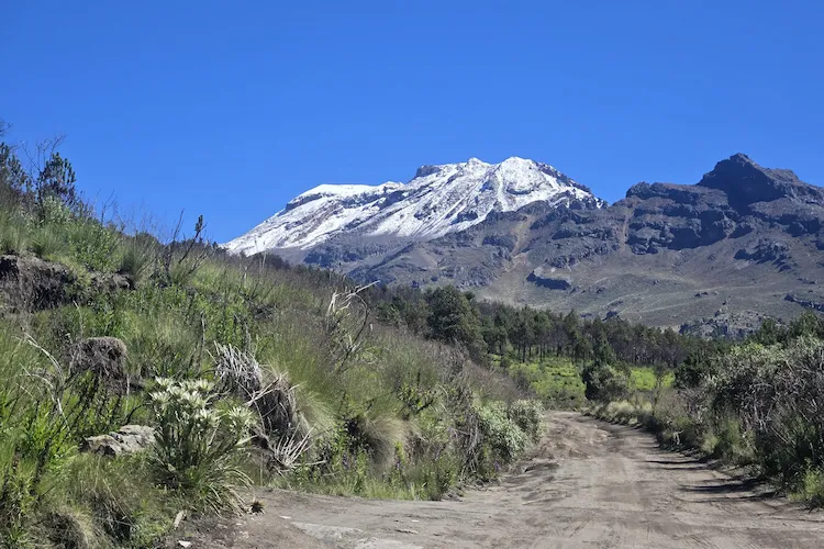 Camino hacia el volcán Iztaccíhuatl rodeado de vegetación