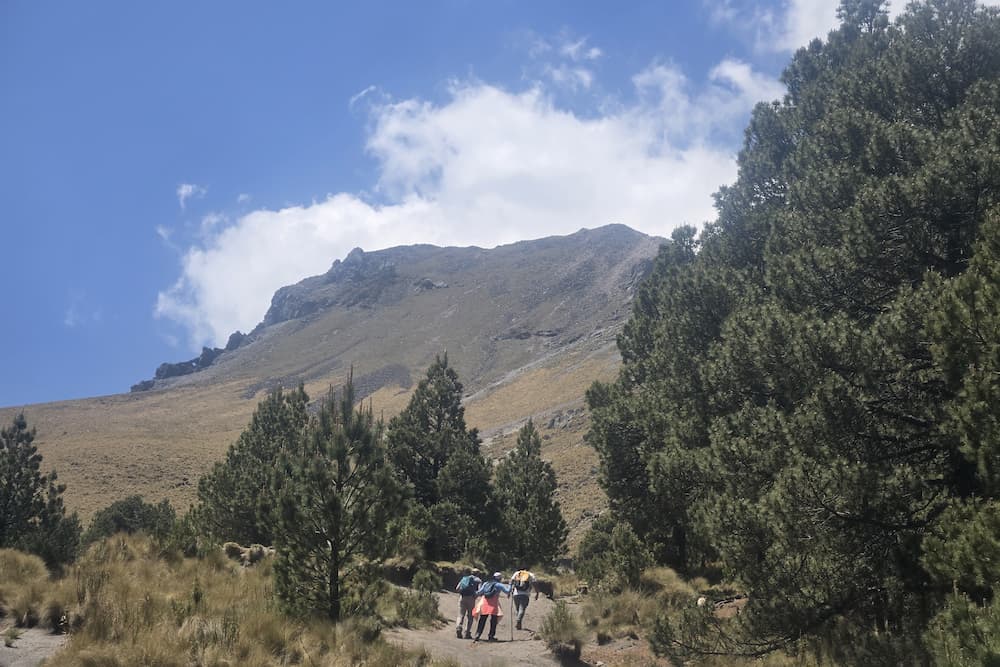 Hikers ascending La Malinche volcano with pine forest and summit in the background