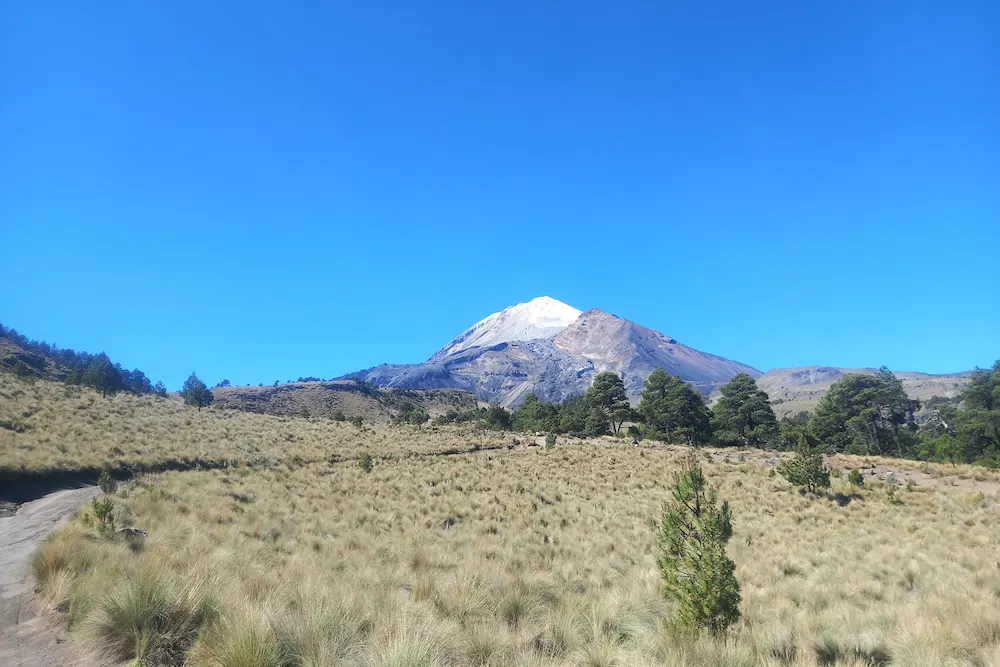 Vista panorámica del Pico de Orizaba con cima nevada y praderas de pastizal