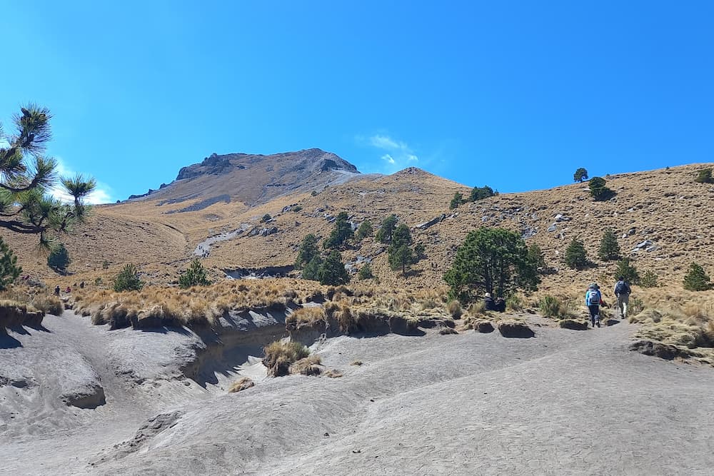 Hikers walking the first section of La Malinche Volcano with pine trees and the summit in the background.